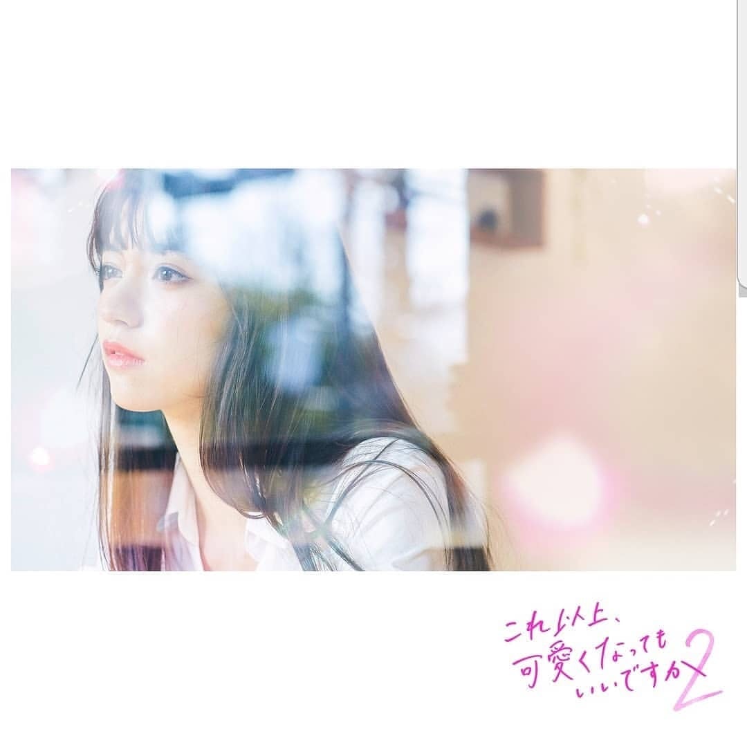 田中 陽子 ポートフォリオ