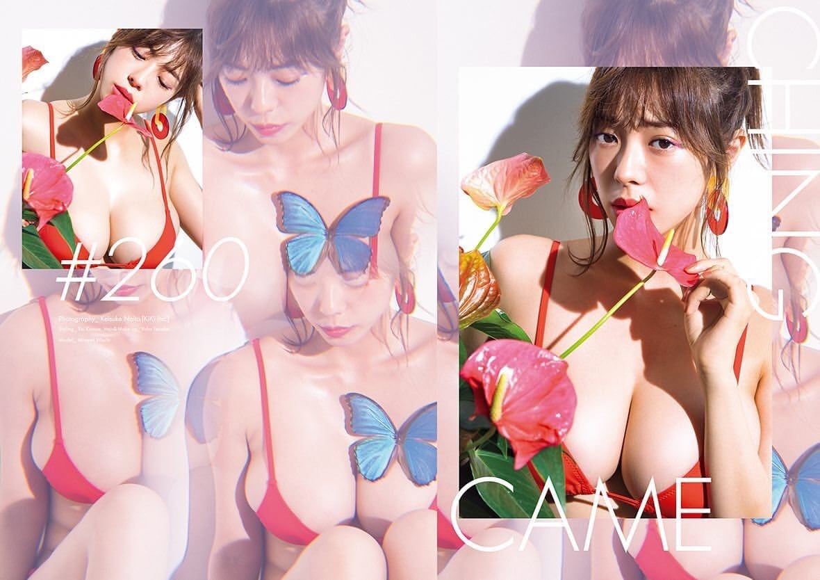 田中 陽子 ポートフォリオ